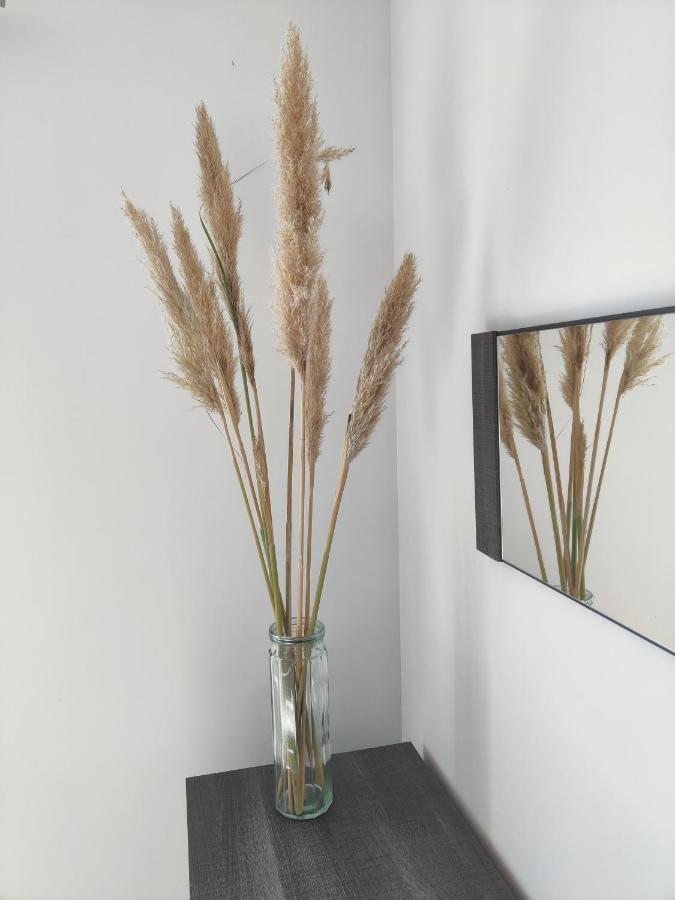 Appartement T3 Plume Hyper Centre D'Ernee Экстерьер фото